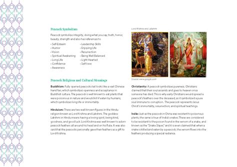 D'source Case Study - Slide Show | 2D Form Exploration of Peacock | D ...