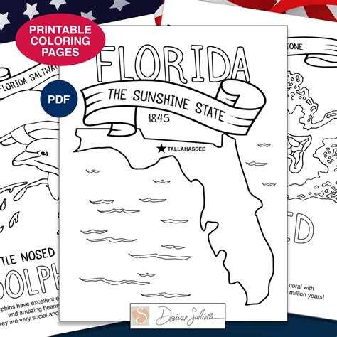 Florida State Symbols Coloring Pages | Printable Coloring USA Facts - Etsy