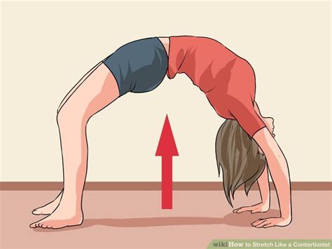Image result for Contortionist Dislocation Tricks