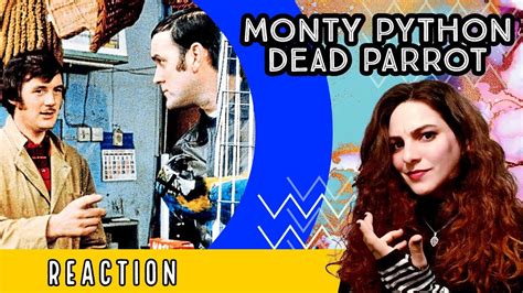 Monty Python Reaction 的图像结果