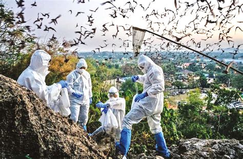 Climate change will accelerate viral spillovers, finds study