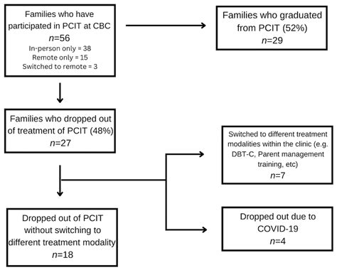 A Qualitative Analysis of Attrition in Parent–Child Interaction Therapy