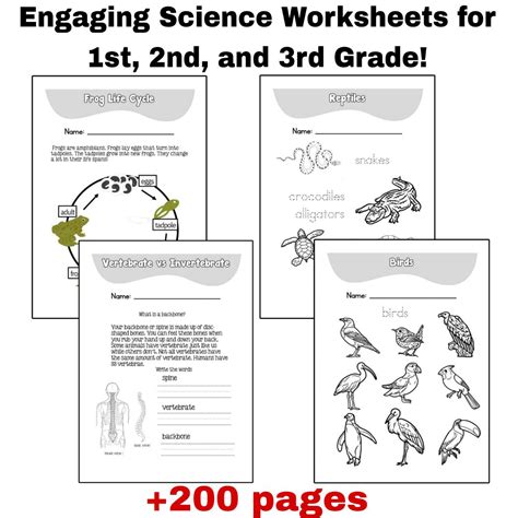 Image result for 3rd Grade Science Worksheets Printable Free PDF