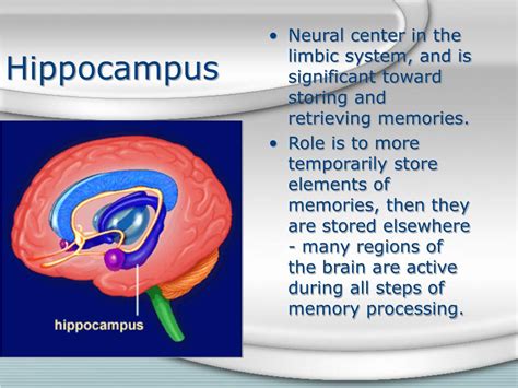 Image result for Memory Processing