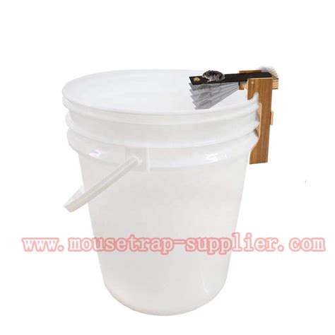 Plank Rat Trap 的图像结果