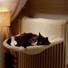 amaca gatti amaca per gatti amaca gatto accessorigatti amaca gatti amaca per gatti amaca gatto accessorigatti