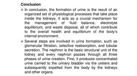 PPT - Understanding the Mechanism of Urine Formation - mechanism of urine formation ppt