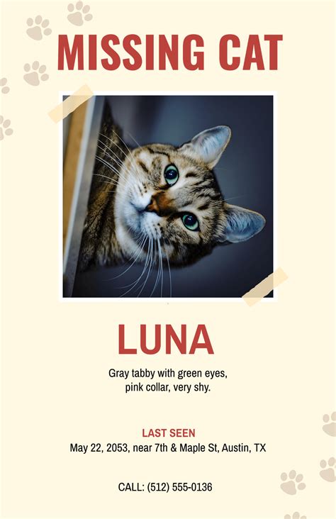 Found Cat Poster Template Free Missing Cat Flyer Template & Generator