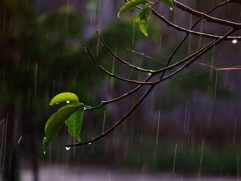 零星小雨图片,什么叫零星小雨,小雨天气符号图片_大山谷图库