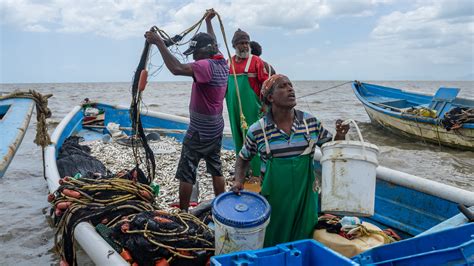 Climate Change Brings Warmer, Wetter Weather to Trinidad - The New York ...