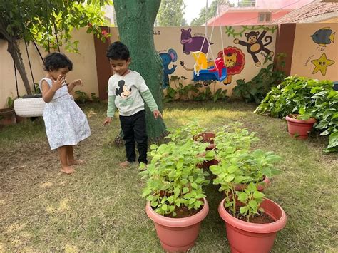 Building Blocks Play School, Siddhartha Nagar, Guntur, Preschool ...