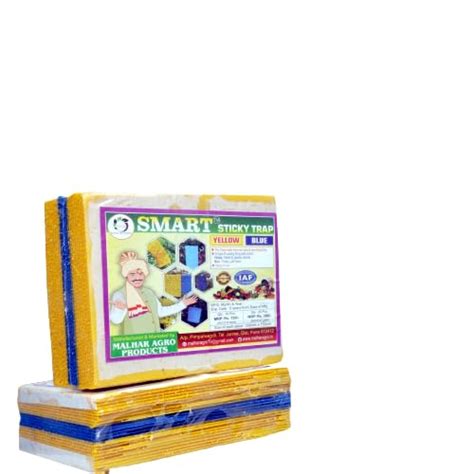 SMART Yellow Sticky Trap for Insects in The Garden & Farm, Glue Trap ...