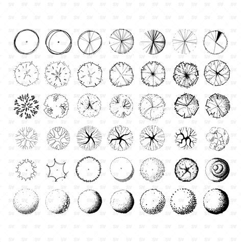 Hand-Drawn Tree Brushes for Photoshop – Studio Alternativi