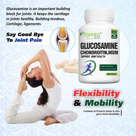 Glucosamine with Chondroitin, MSM with Herbs for Healthy Joints - 60 C ...