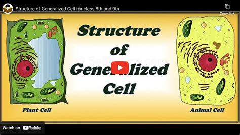 Generalized Cell Structure 的图像结果