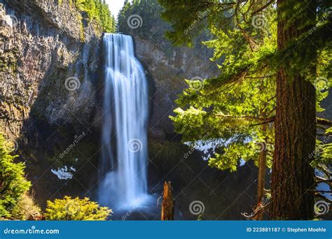 Salt Creek Falls, Willamette National Forest, Oregon Stock Image ...