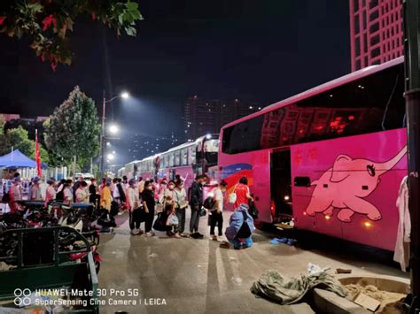 郑州汽车客运站暂停发往市域外所有班线_交运集团