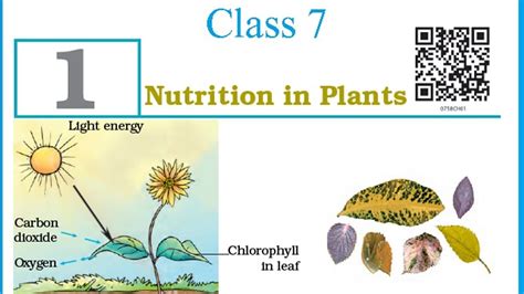 Image result for Class 7 Science Lesson Chapter 1