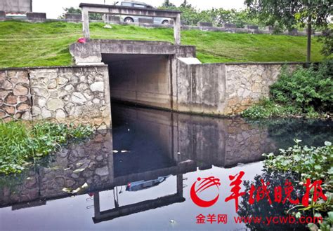广州16条河涌12条水质为劣Ⅴ类 短时间好转难度大_新浪新闻