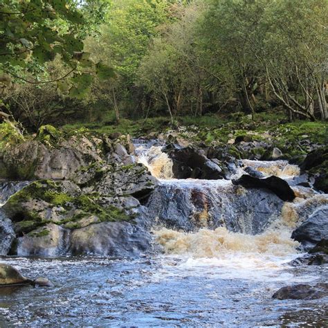 SWAN PARK (2026) All You Need to Know BEFORE You Go (with Photos ...