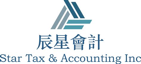 税务审计 - website-title
