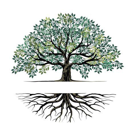 Oak Tree And Roots Logo With Text Space, Oak Tree, Logo, Roots PNG and Vector with Transparent ...