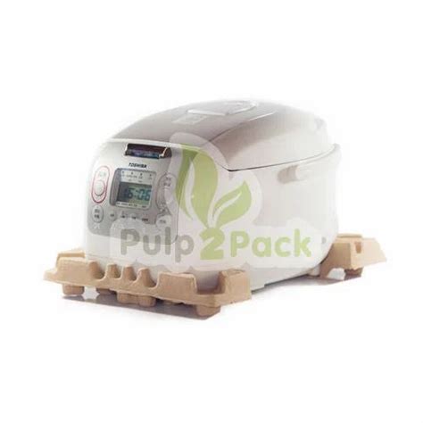 Molded Pulp Tray - Heavy Motor Molded Pulp Tray Manufacturer from Delhi