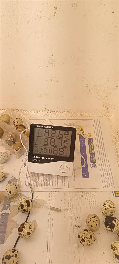 Dr. Care Digital Thermometer Hygrometer HTC-2 Room Thermometer with ...