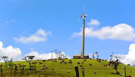 Places To Visit In Nuwara Eliya In 2026: Highlights & Sightseeing!