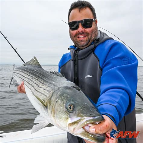 AFW American Fishing Wire Single Barrel Crimp Sleeves India | Ubuy