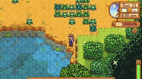 How to Get Duck Feather in Stardew Valley - Siliconera
