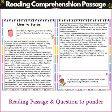 Digestive System | Reading Comprehension Passage and Questions ...