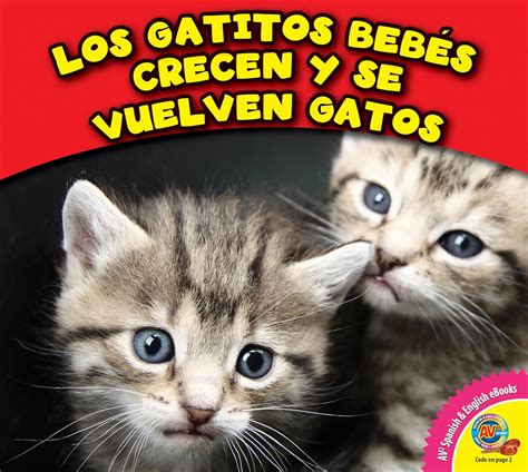 Los gatitos bebés crecen y se vuelven gatos / Kittens Grow up to Be ...