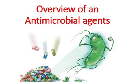 Image result for Antimicrobial Examples