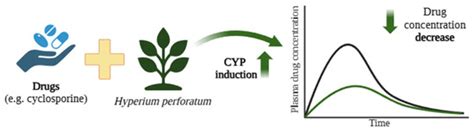 Hazardous Interactions Between Food, Herbs, and Drugs in the First ...