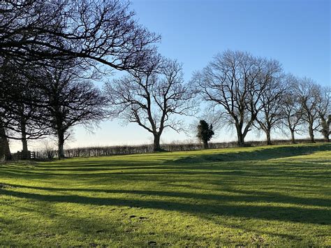 Trees Shadows - Free photo on Pixabay - Pixabay