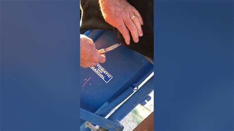 Exploding Cow Abscess 的图像结果