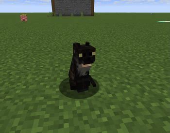 Image result for Tortoishell Split Mod