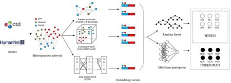 Image result for Heterogeneous Graph Embedding Technique