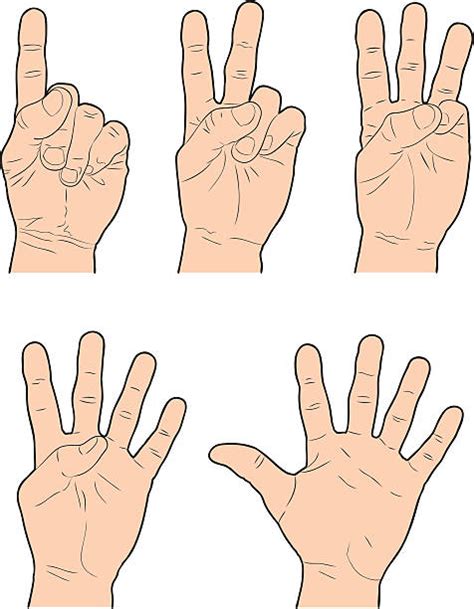 5 in Sign Language 的图像结果