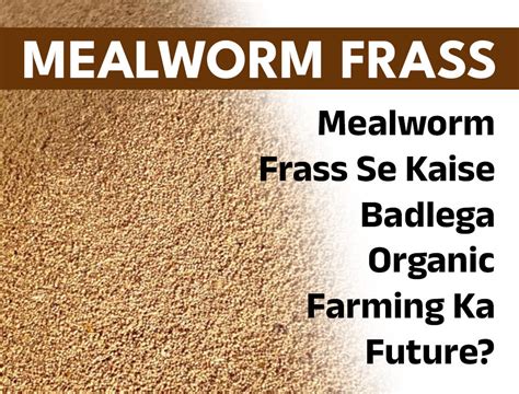 Mealworm Frass Se Kaise Badlega Organic Farming Ka Future?