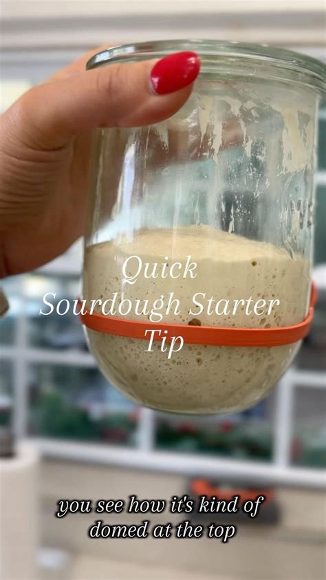 Sourdough Starter Recipe (The Easy Way)
