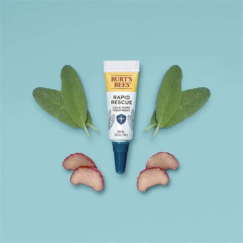 Burt's Bees Rapid Rescue Cold Sore Treatment with Rhubarb & Sage - 0.07 ...