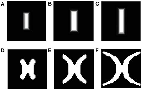 Image result for Complex Variables Log Map
