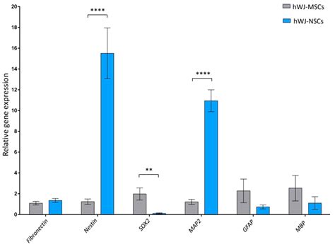 Differentiation of Human Mesenchymal Stem Cells from Wharton’s Jelly ...