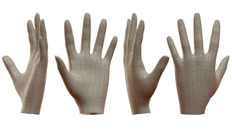 Image result for Blender Hand Tutorial