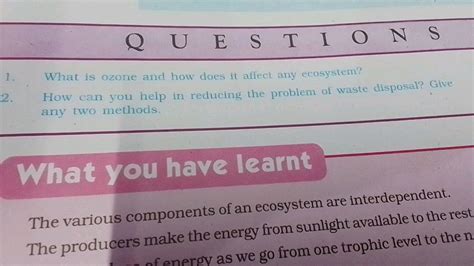 What is ozone and how does it affect any ecosystem? How can you help in r..