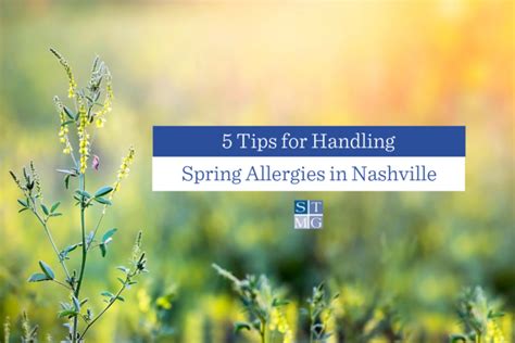 allergies nashville