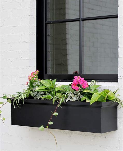 Build a Window Box 的图像结果