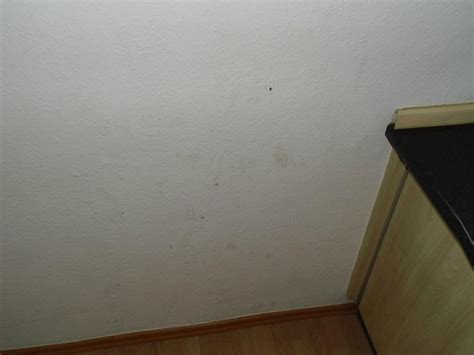 AMARY CITY RESIDENCE (Berlin) - Apartment Reviews & Photos - Tripadvisor